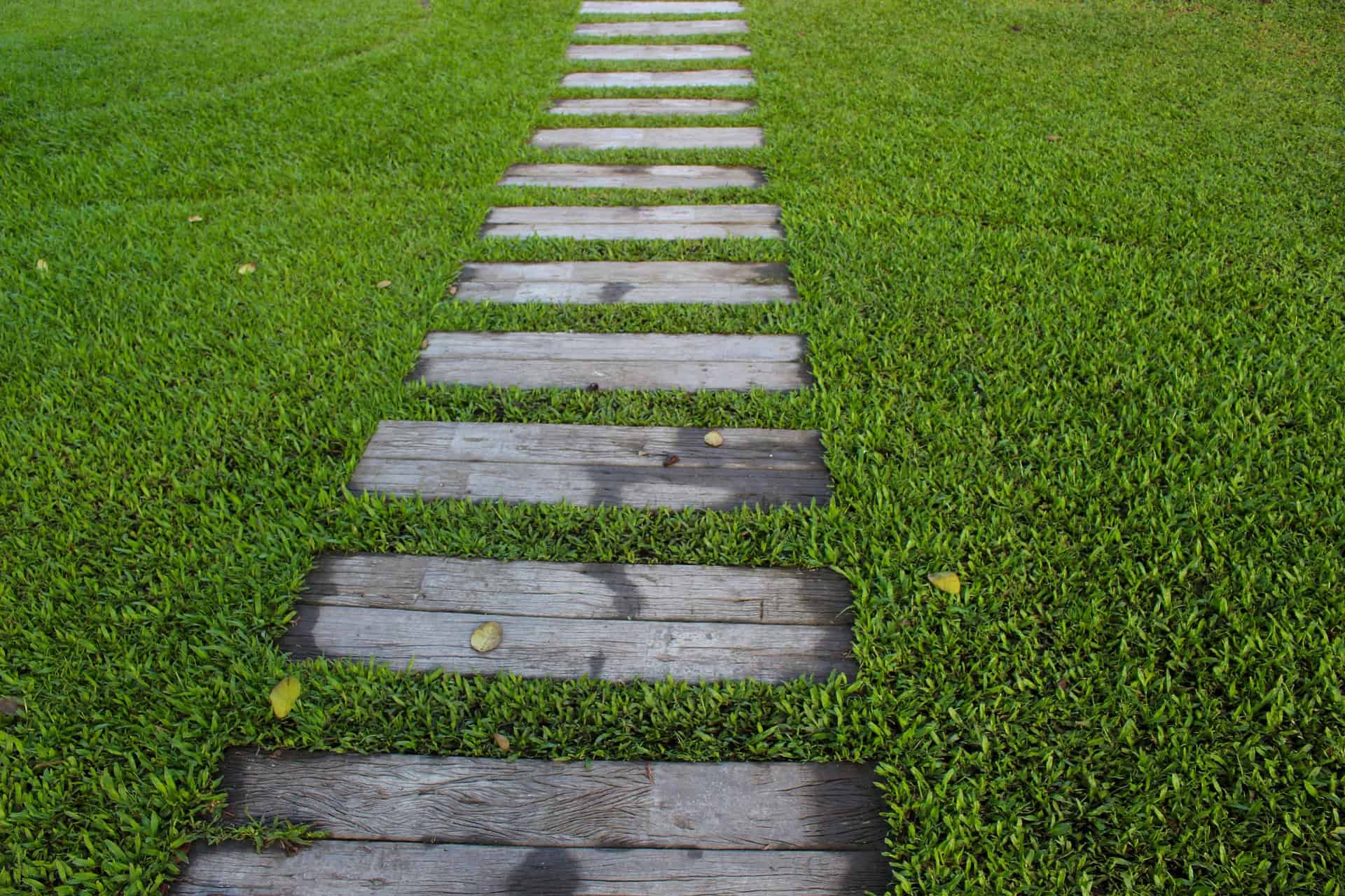 Volg ons Pelgrim overzien Graskanten afsteken: stappenplan met handige tips - Bustotaal