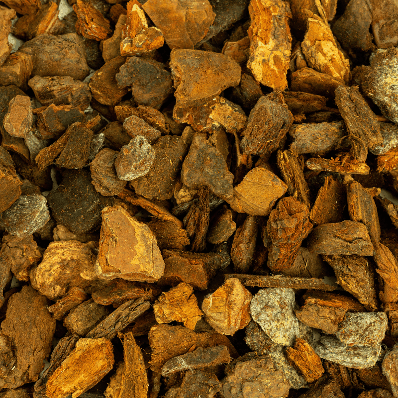 Franse boomschors premium detailfoto