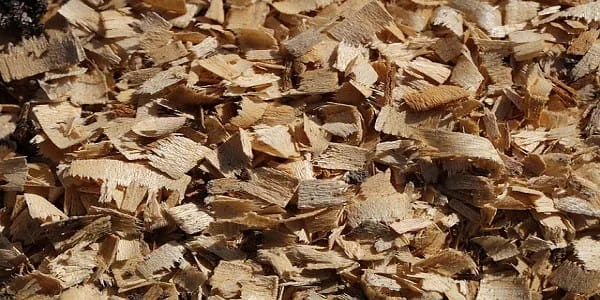 pellets