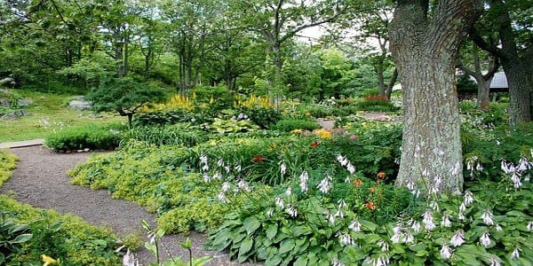 ik meststof in de tuin? - Bustotaal