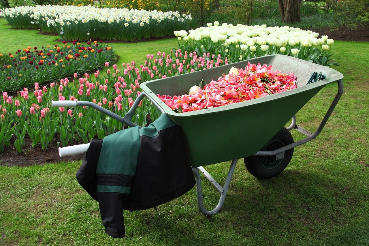 categorie-tuin