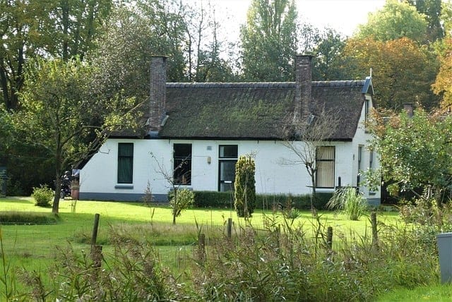 houtsnippers-drenthe