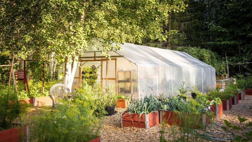 Broeikas met een moestuin