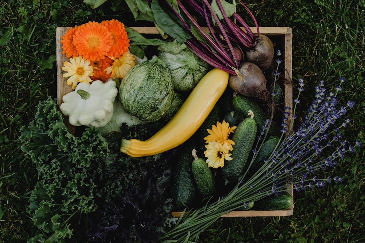 mand met moestuin groenten erin